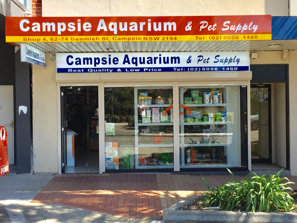 campsie aquarium and pet supply